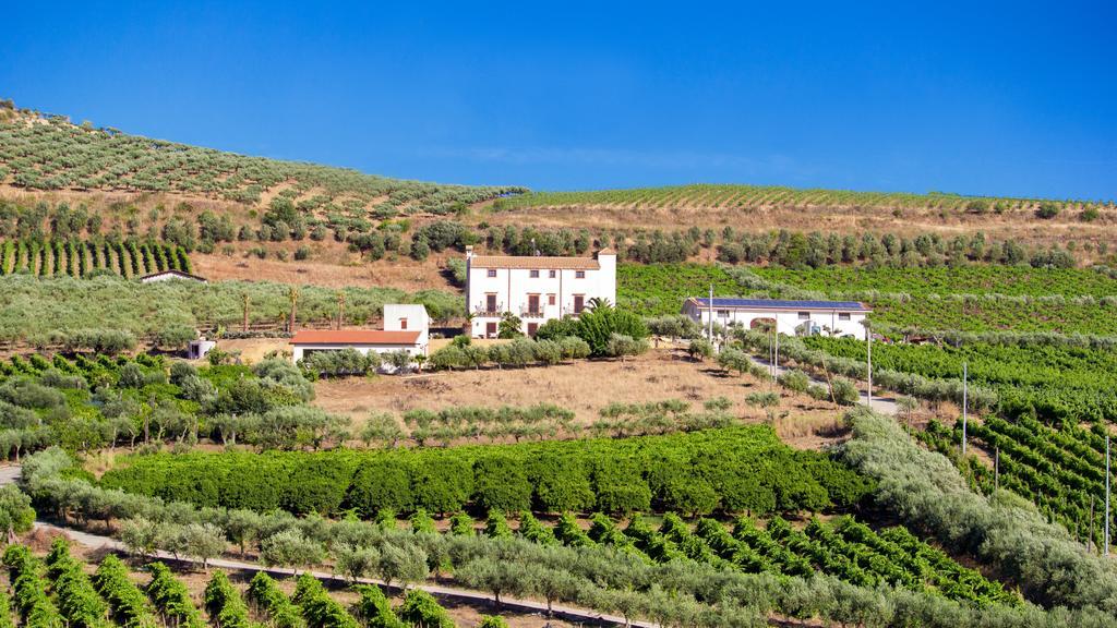 Tenute Piazza Countryhouse Ribera Exteriér fotografie